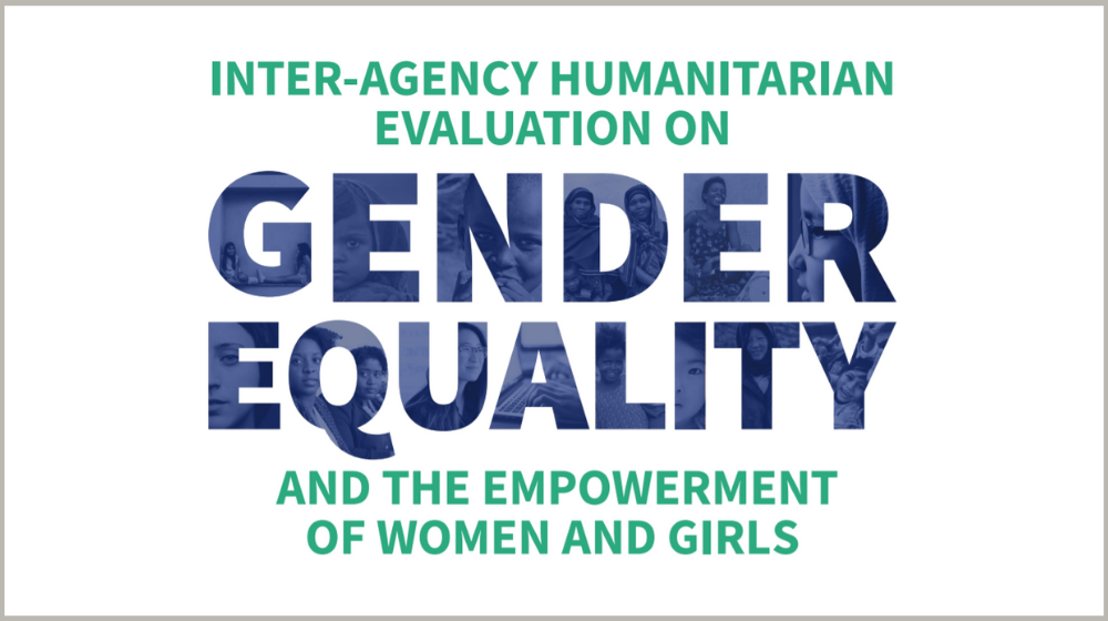 Inter Agency Humanitarian Evaluation On Gender Equality And The Empowerment Of Women And Girls 7803